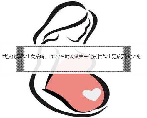 武汉代孕包生女孩吗，2022在武汉做第三代试管包生男孩要多少钱？