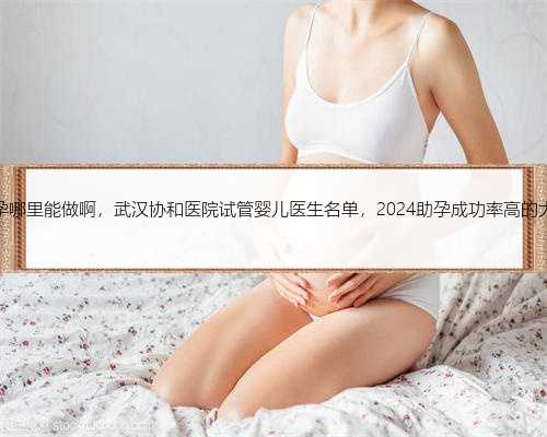 内蒙助孕哪里能做啊，武汉协和医院试管婴儿医生名单，2024助孕成功率高的大