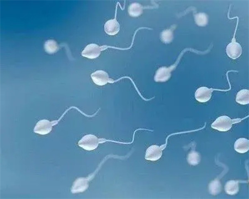 包性别_代怀产子包性别,减肥导致的继发性闭经可以怀孕吗？