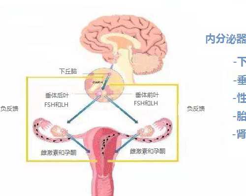 在武汉做试管需要多长时间，八万到十二万！