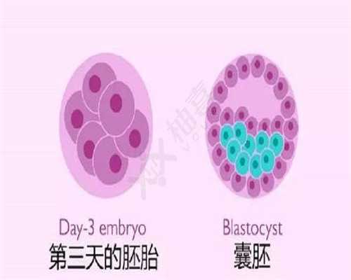 国内代孕机构咨询电话_代孕站哪家靠谱,四个月宝宝突然频繁吐奶