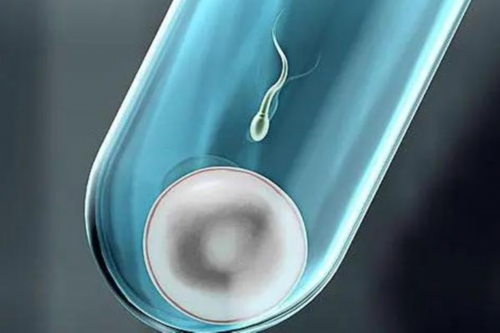 代怀包成功_包生儿子费用,剖腹产后恶露有哪些注意事项？剖腹产后为什么会出