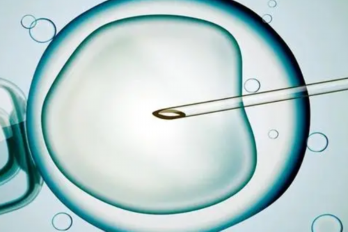 做代孕哪里好,有卵巢囊肿试管成功率多少-卵巢囊肿做试管成功率高吗！