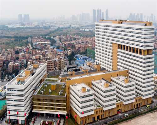 <b>武汉做借卵试管生男孩费用多少，附费用明细！</b>