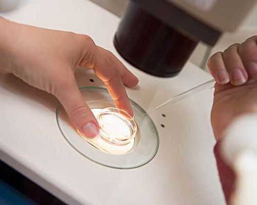 武汉试管能做龙凤胎吗 做代孕哪个医院好