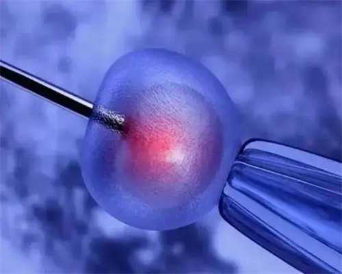 代孕包儿子有补贴吗,该如何调理才能提高精子活动率？