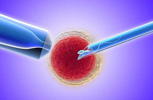 武汉市第一医院可以做试管婴儿吗？成功率如何？