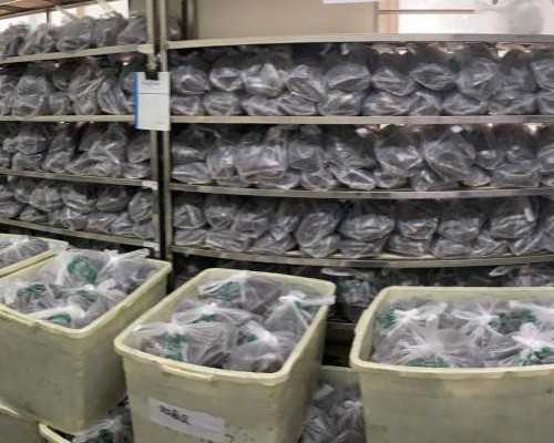 供卵公司：试管婴儿囊胚级别怎么分级的？等级越高越好吗？