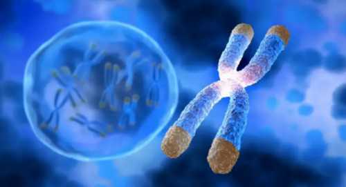 广东供卵包男孩,多囊卵巢试管婴儿成功率大吗(多囊做试管的成功率)