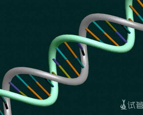 代孕哪里做的比较好,子宫内膜过厚怎么办！子宫内膜厚怎么办喝红糖管用吗！