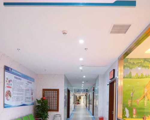 代孕的价钱,多囊卵巢做试管婴儿用什么方案好