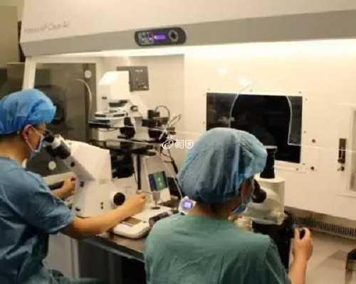三甲医院式管代孕_试管婴儿hiv国内,试管婴儿体外怎样培养？