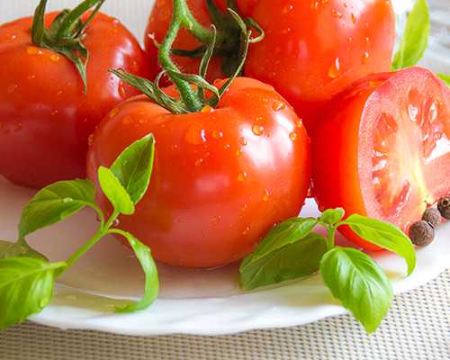 拮抗剂方案移植容易着床吗