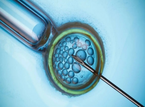 纯干货|上海公立三甲医院有哪些强势科室